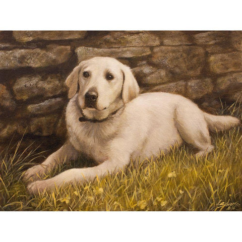 320 White Modern Wood Framed Art Print by Silver, John