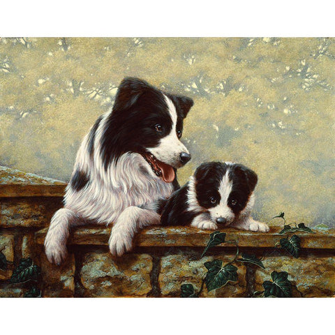 Js68-A White Modern Wood Framed Art Print by Silver, John