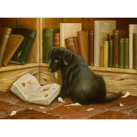 Js122-A Black Modern Wood Framed Art Print with Double Matting by Silver, John