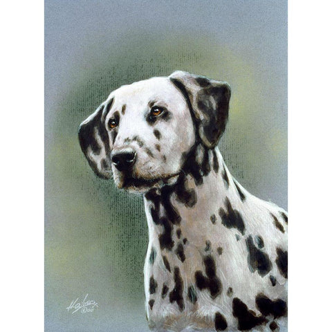 Js124-B Black Modern Wood Framed Art Print with Double Matting by Silver, John