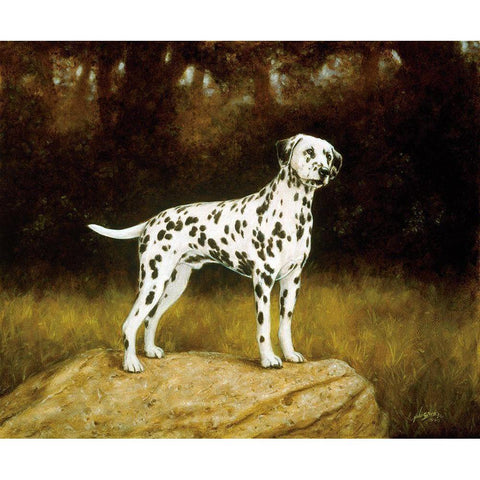 Js118-A Black Modern Wood Framed Art Print by Silver, John