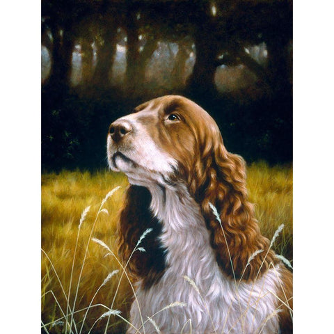 Js114-B Black Modern Wood Framed Art Print with Double Matting by Silver, John