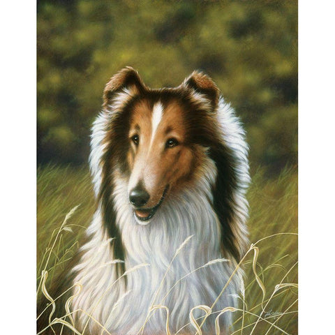 Js89-A Black Modern Wood Framed Art Print with Double Matting by Silver, John