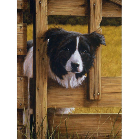 Jsm1-B White Modern Wood Framed Art Print by Silver, John