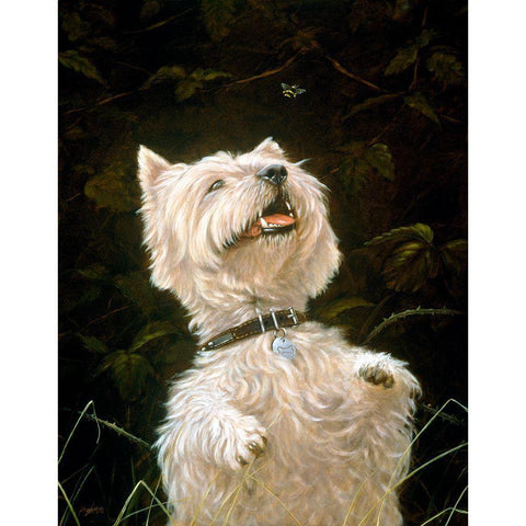Js108-A White Modern Wood Framed Art Print by Silver, John