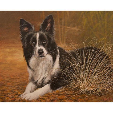 335 Black Modern Wood Framed Art Print with Double Matting by Silver, John