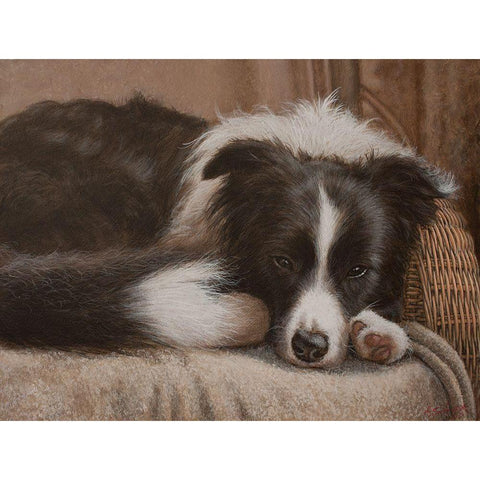 396 Border Collie Gold Ornate Wood Framed Art Print with Double Matting by Silver, John