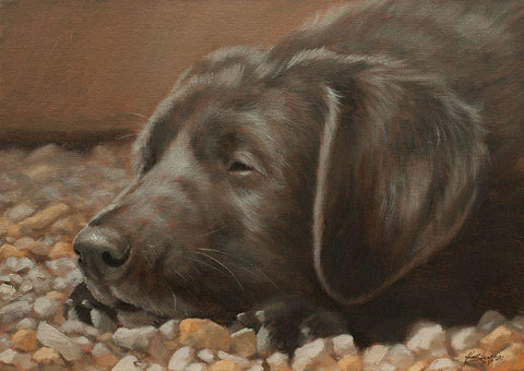 554a White Modern Wood Framed Art Print with Double Matting by Silver, John