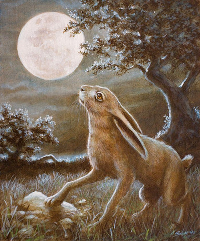 116 Moon Gazing Hare Black Ornate Wood Framed Art Print with Double Matting by Silver, John