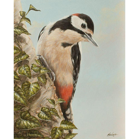 WoodPecker and Ivy White Modern Wood Framed Art Print by Silver, John