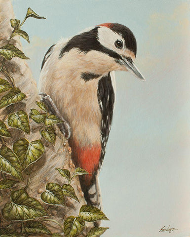 WoodPecker and Ivy White Modern Wood Framed Art Print with Double Matting by Silver, John