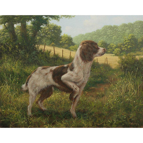 C964 Standing Springer(L) Gold Ornate Wood Framed Art Print with Double Matting by Silver, John