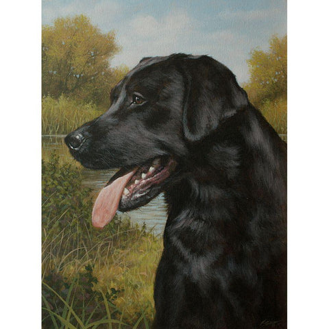 C973 Labrador by the Pool Black Modern Wood Framed Art Print with Double Matting by Silver, John