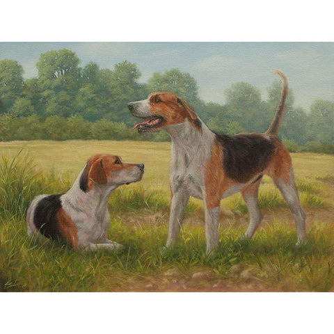 C962 Foxhound pair(L) White Modern Wood Framed Art Print by Silver, John