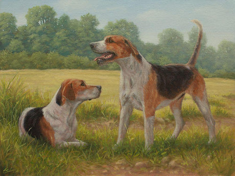 C962 Foxhound pair(L) Black Ornate Wood Framed Art Print with Double Matting by Silver, John