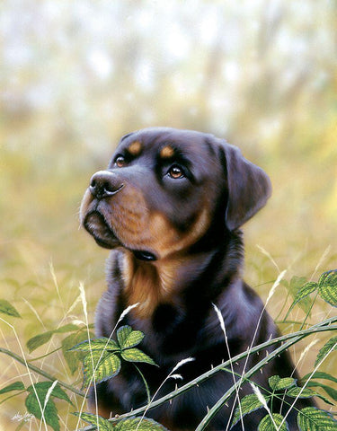 Spirit Of Loyalty White Modern Wood Framed Art Print with Double Matting by Silver, John