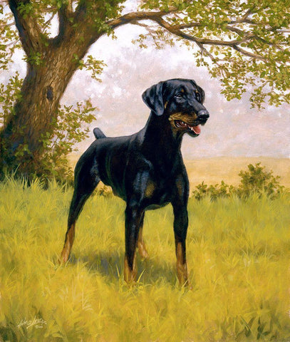 115-A White Modern Wood Framed Art Print with Double Matting by Silver, John