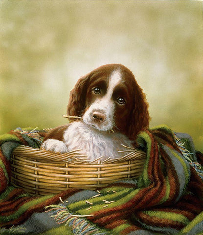 20-B White Modern Wood Framed Art Print with Double Matting by Silver, John