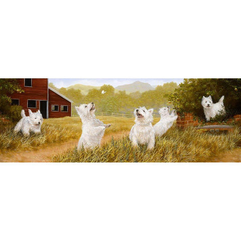 Westie Panorama White Modern Wood Framed Art Print by Silver, John