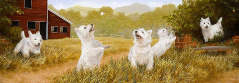 Westie Panorama White Modern Wood Framed Art Print with Double Matting by Silver, John