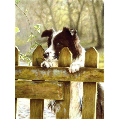 Jsm29-A Black Modern Wood Framed Art Print with Double Matting by Silver, John