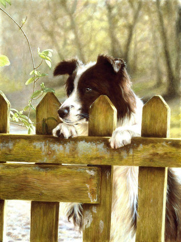 Jsm29-A Black Ornate Wood Framed Art Print with Double Matting by Silver, John