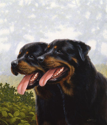 Jsm32-A White Modern Wood Framed Art Print with Double Matting by Silver, John