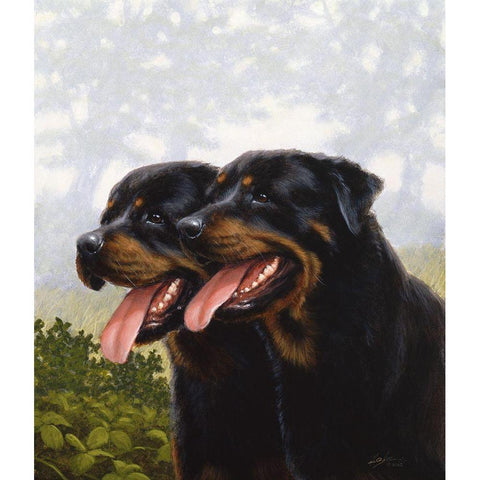 Jsm32-A Black Modern Wood Framed Art Print with Double Matting by Silver, John