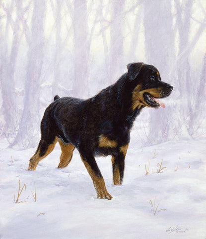 Jsm31-B Black Ornate Wood Framed Art Print with Double Matting by Silver, John