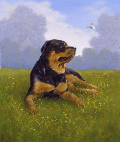 Jsm33-B White Modern Wood Framed Art Print with Double Matting by Silver, John