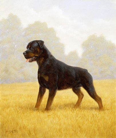 Jsm35-B Black Ornate Wood Framed Art Print with Double Matting by Silver, John