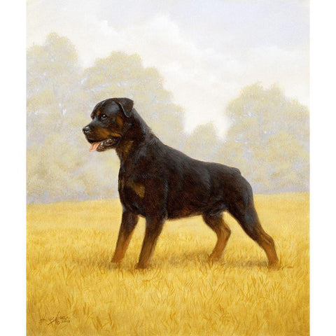 Jsm35-B Black Modern Wood Framed Art Print by Silver, John