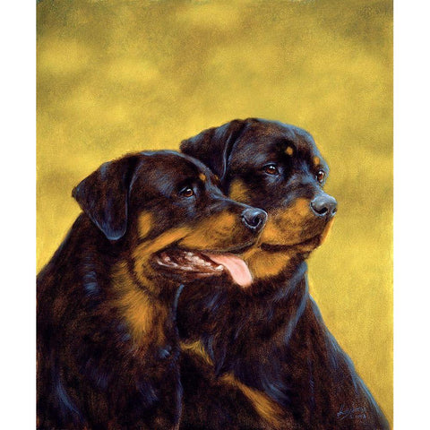 Jsm36-B Black Modern Wood Framed Art Print with Double Matting by Silver, John