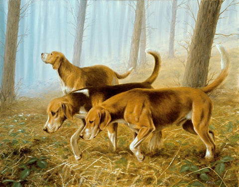 Jsm39-A White Modern Wood Framed Art Print with Double Matting by Silver, John