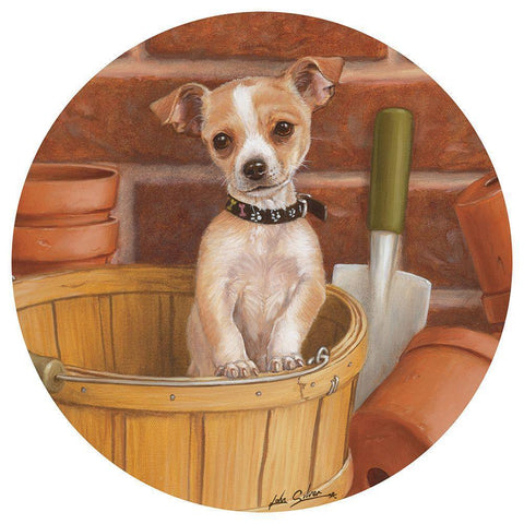 Chihuahua In Basket Gold Ornate Wood Framed Art Print with Double Matting by Silver, John