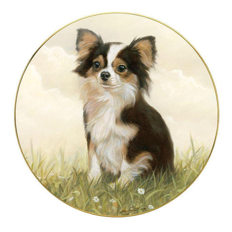 Chihuahua #4 White Modern Wood Framed Art Print by Silver, John