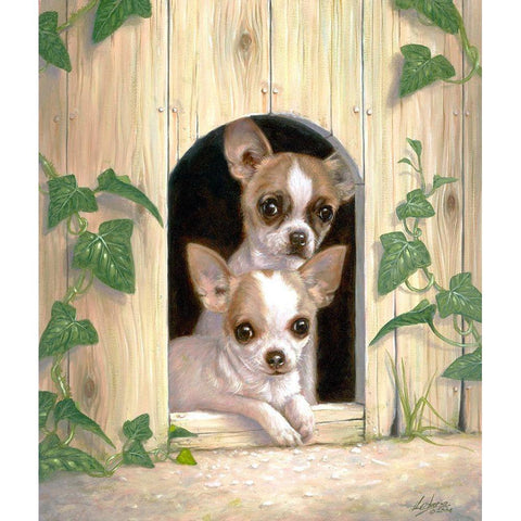 Chihuahuas In Doghouse Black Modern Wood Framed Art Print with Double Matting by Silver, John