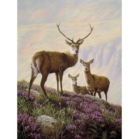 Js29-B Gold Ornate Wood Framed Art Print with Double Matting by Silver, John