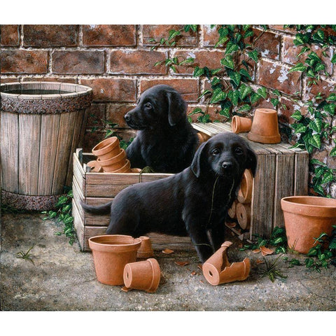 Js36-A Gold Ornate Wood Framed Art Print with Double Matting by Silver, John