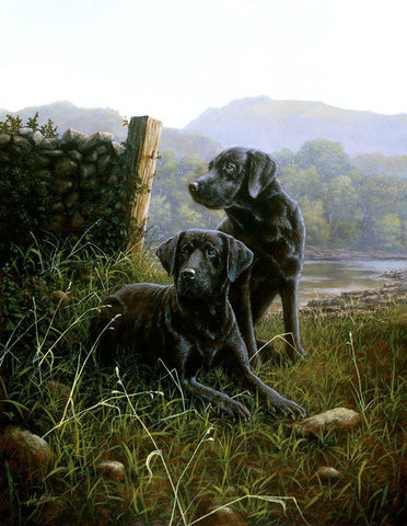 Country Companions White Modern Wood Framed Art Print with Double Matting by Silver, John