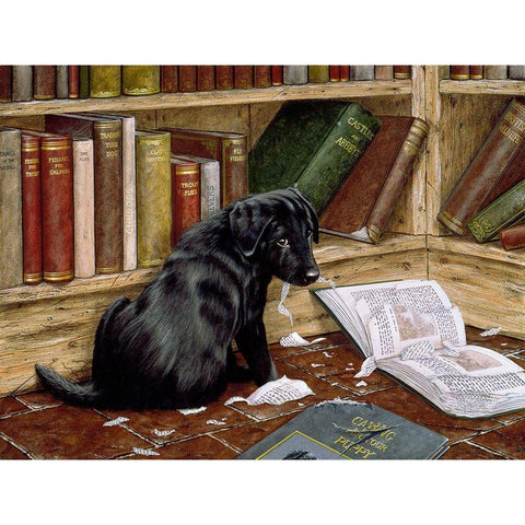 Js7-B Gold Ornate Wood Framed Art Print with Double Matting by Silver, John