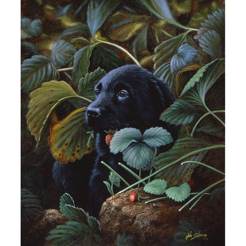 Js35-C Black Modern Wood Framed Art Print with Double Matting by Silver, John