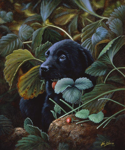 Js35-C White Modern Wood Framed Art Print with Double Matting by Silver, John