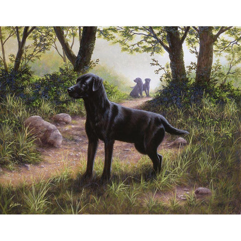 Js38-C Black Modern Wood Framed Art Print by Silver, John