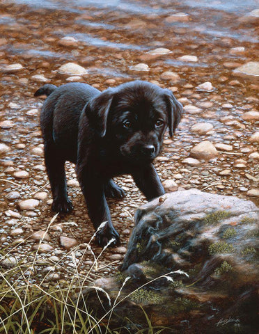 Js47-C White Modern Wood Framed Art Print with Double Matting by Silver, John