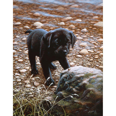 Js47-C Black Modern Wood Framed Art Print with Double Matting by Silver, John