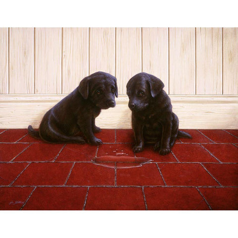 Js50-C Black Modern Wood Framed Art Print with Double Matting by Silver, John