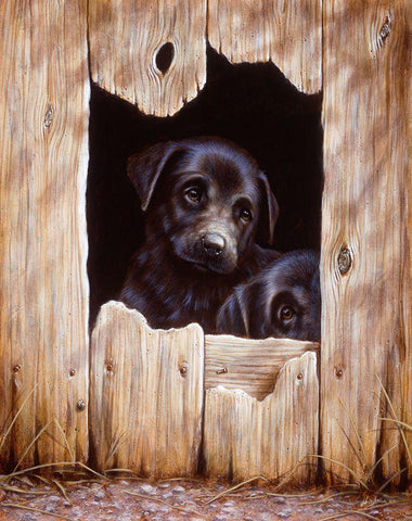 Js51-C Black Ornate Wood Framed Art Print with Double Matting by Silver, John