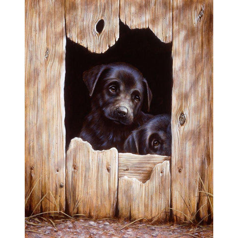 Js51-C Black Modern Wood Framed Art Print by Silver, John