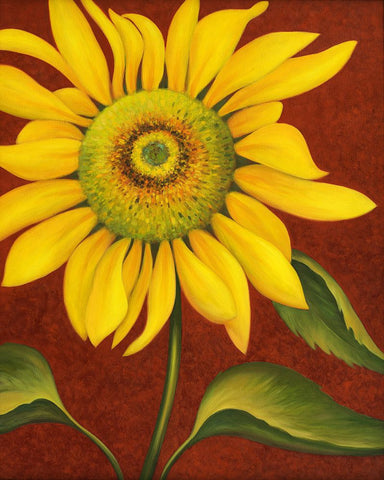 Sunflower Black Ornate Wood Framed Art Print with Double Matting by Zaccheo, John